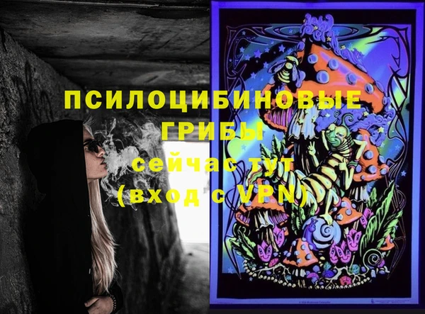 ПСИЛОЦИБИНОВЫЕ ГРИБЫ Абдулино