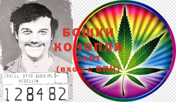 ПСИЛОЦИБИНОВЫЕ ГРИБЫ Абдулино